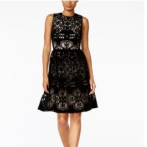 NWT Tommy Hilfiger Velvet Lace Fit & Flare Dress
